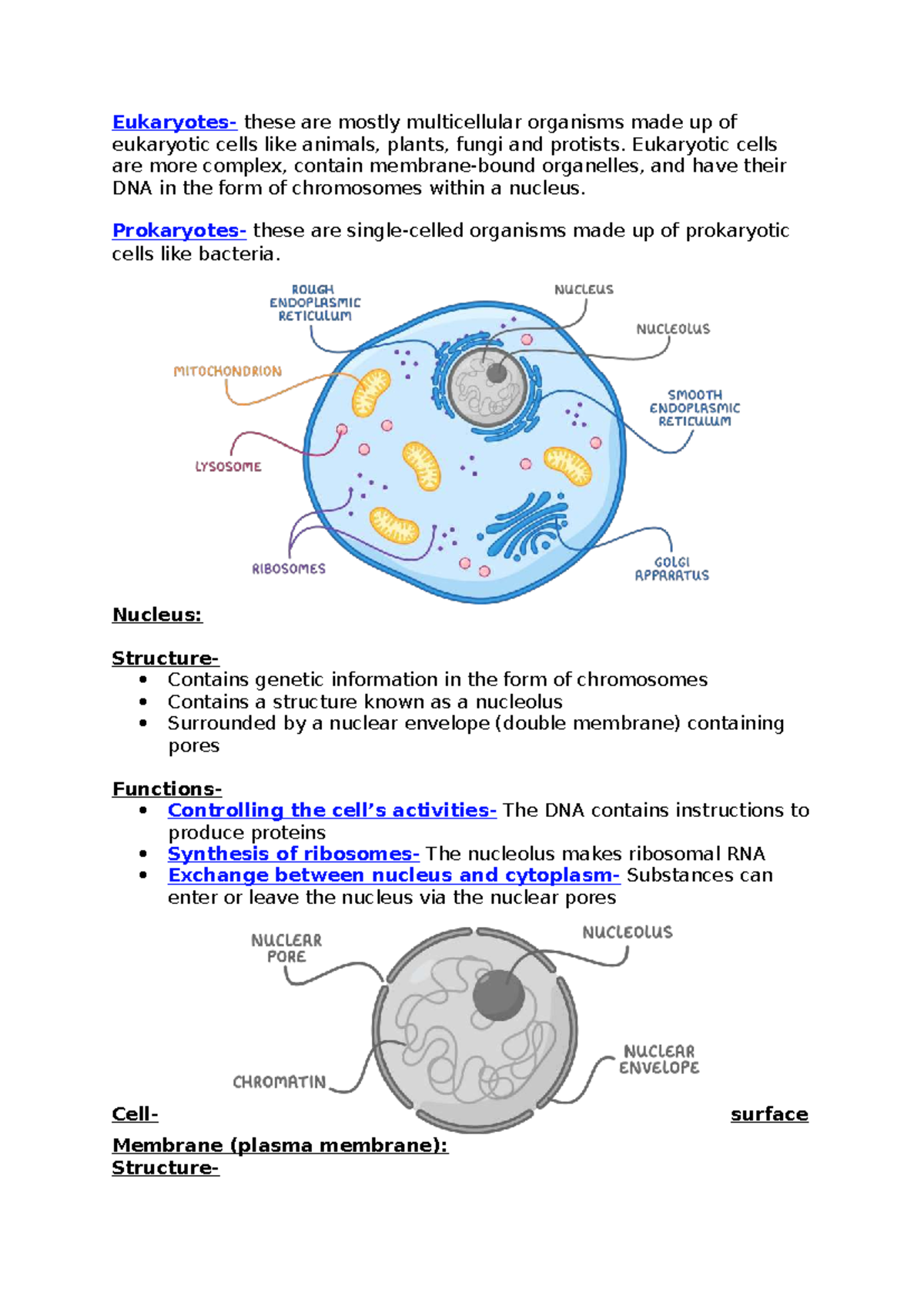 2.1.4:2 - Cell Structure and Function of Eukaryotic Organelles - Studocu