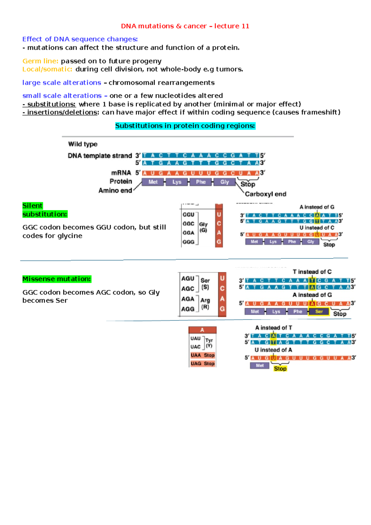 DNA mutations - Germ line: passed on to future progeny Local/somatic ...