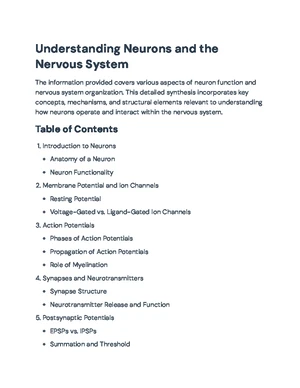 Nervous System - Study Notes & Assignments - Studocu
