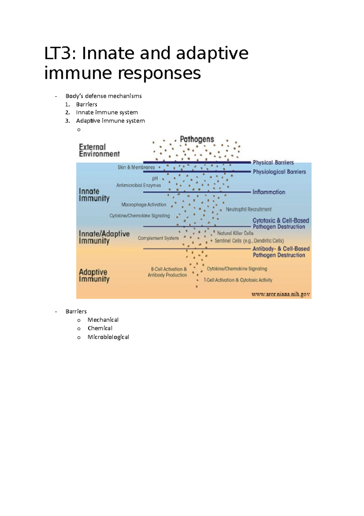 LT3. Overview of Innate and Adaptive Immune Responses - Studeersnel