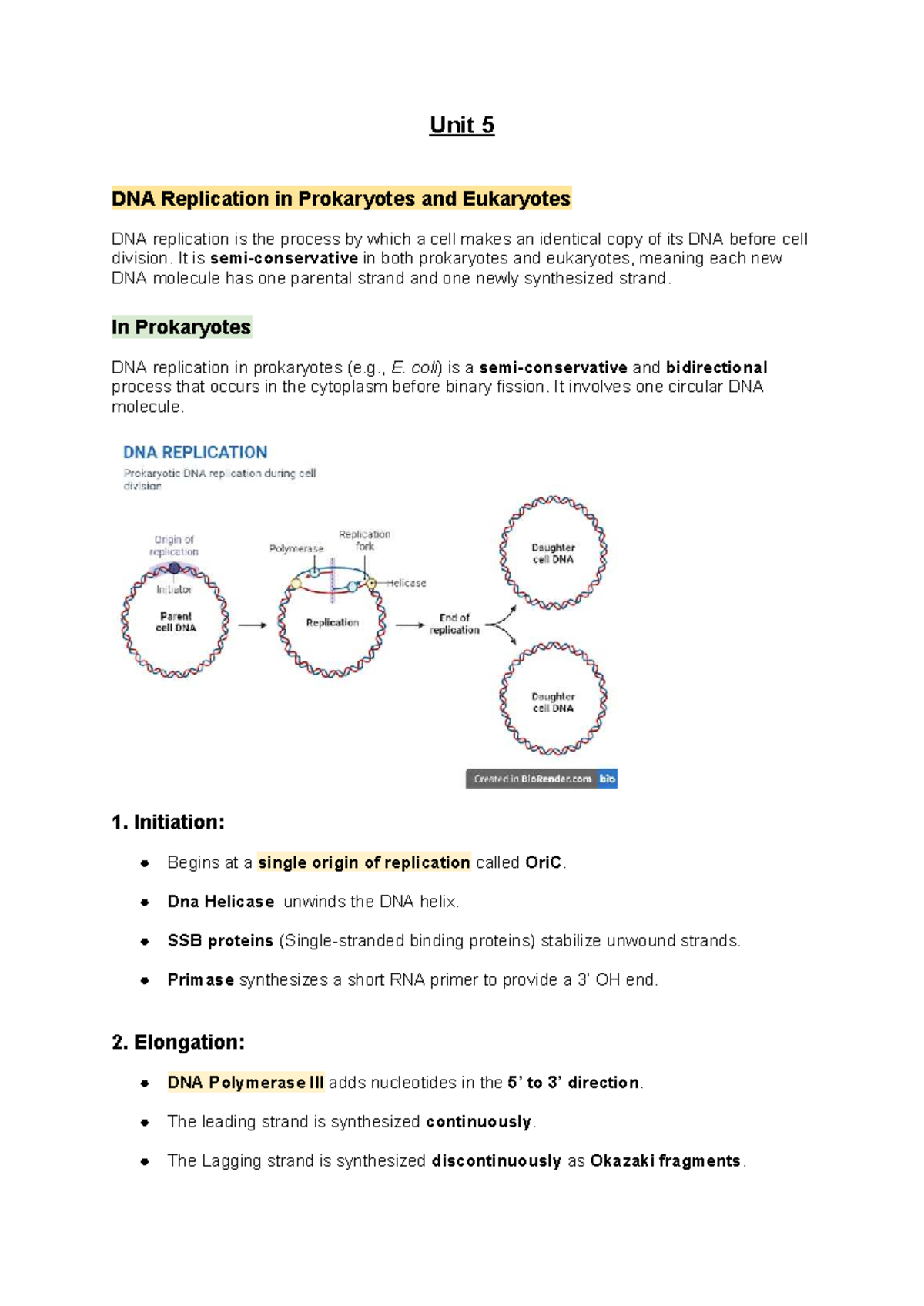 Unit 5 Genetic Engineering: DNA Replication in Prokaryotes & Eukaryotes ...