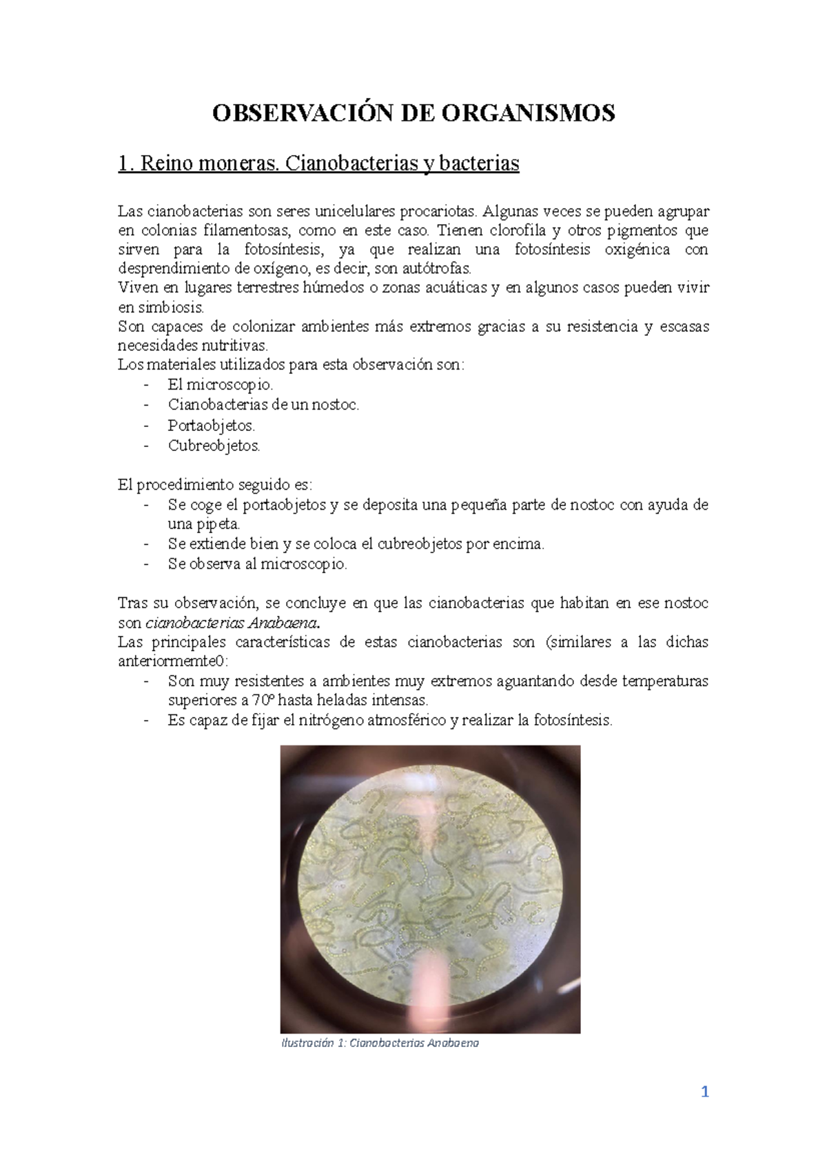 Observación de Organismos: Moneras, Protozoos y Hongos en Microscopia -  Studocu