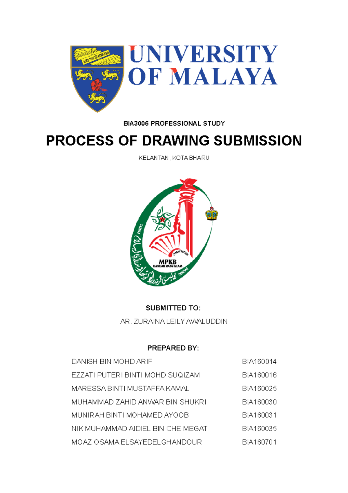 BIA3006 Professional Study: Process of Drawing Submission Report - Studocu