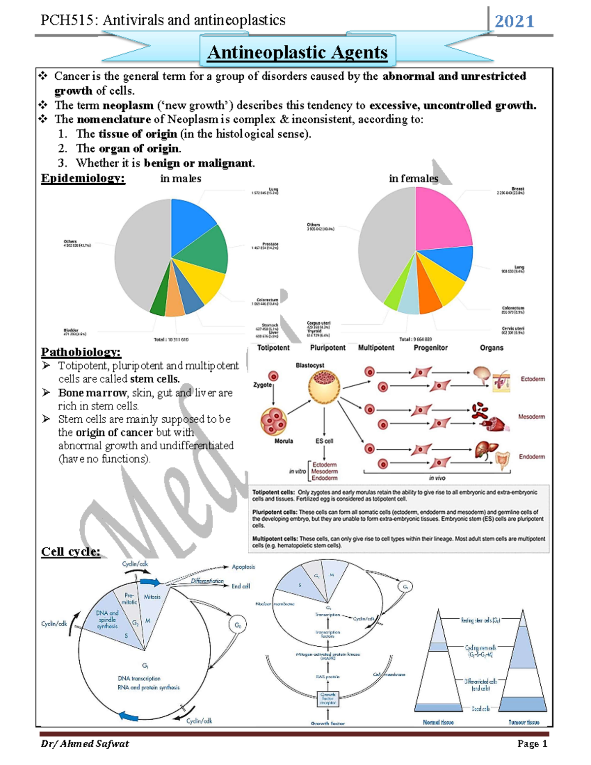 Anticancer Agents Overview - AS Med. 2, 2024 Lecture Notes - Studocu