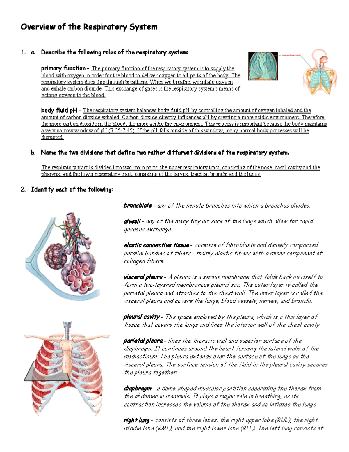 Exploring Kingdom Monera: Characteristics & Roles of Bacteria - Studocu