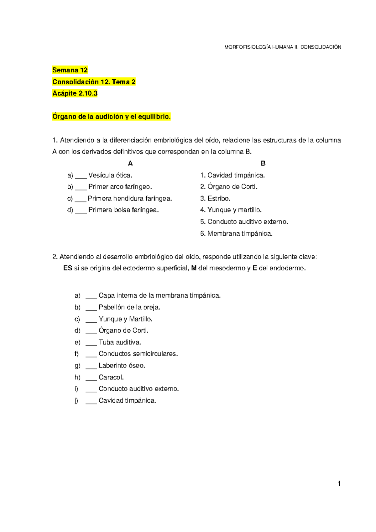 MORFOFISIOLOGÍA HUMANA II, CONSOLIDACIÓN Semana 12: Órgano de Audición ...