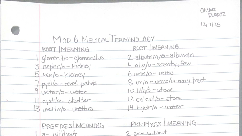 BIO MOD 6 Medical Terminology: Root Meanings and Functions - Studocu