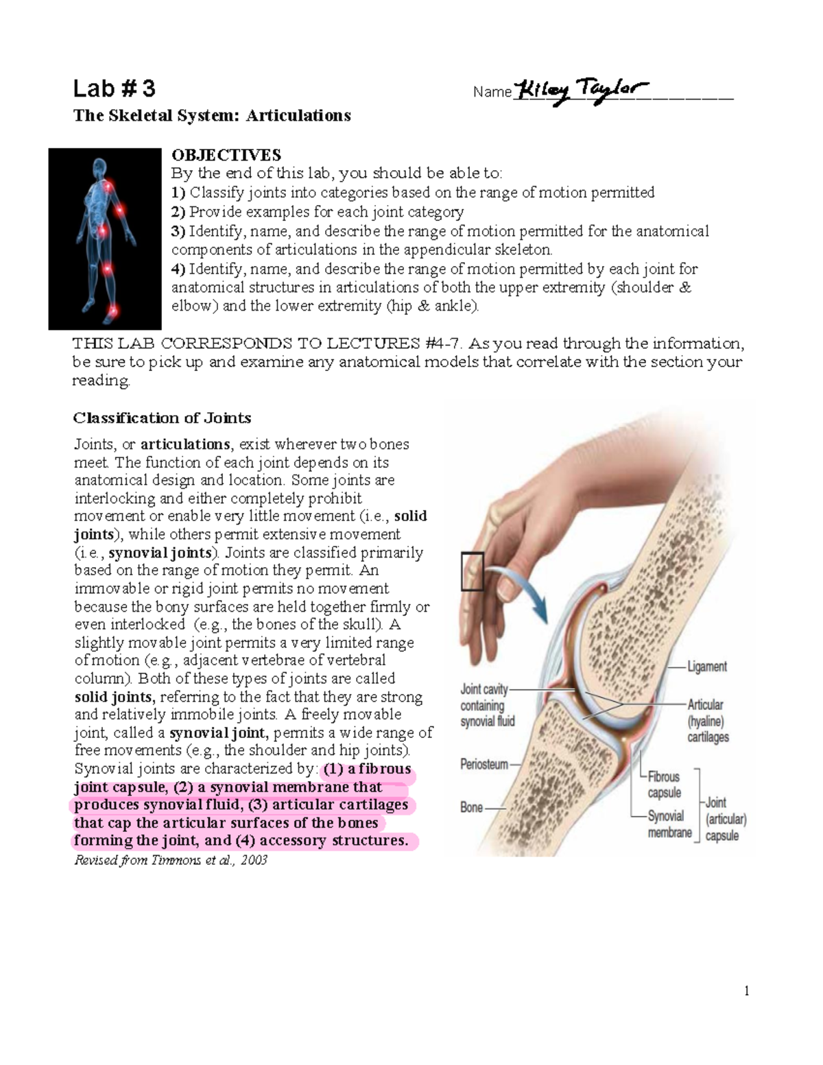 Lab 3: Joints Classification and Movement - COVID-19 Online Lab - Studocu