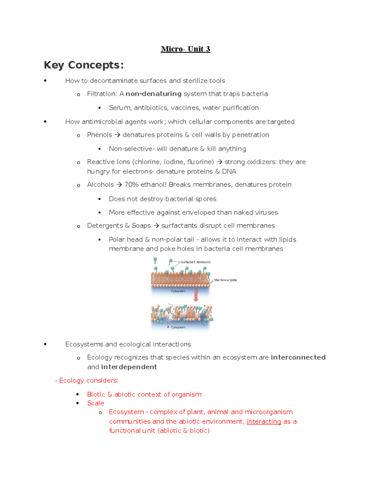 Micro- Unit 3 Lecture Notes - Dr. Jordyn Bergsveinson's Class - Studocu