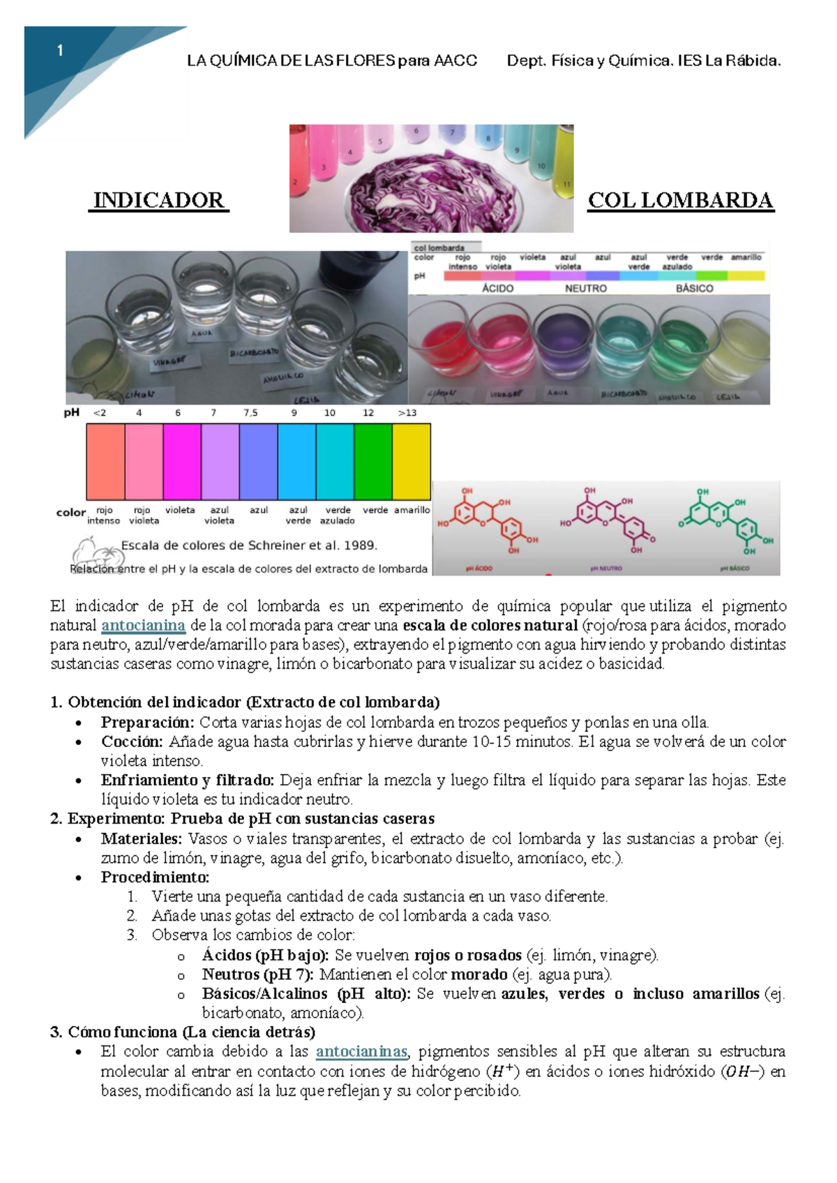 La Química de las Flores: Indicador de pH con Col Lombarda para AACC ...