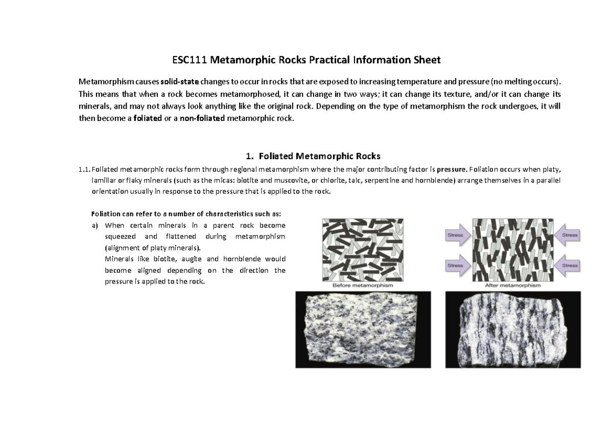 ESC111 Practical on Foliated & Non-Foliated Metamorphic Rocks - Studocu