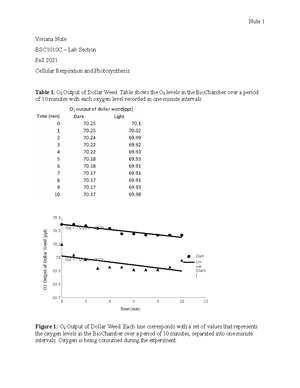Bar graph report 10 - Jill Snyder - Bar Graph Report The Bar Graph ...